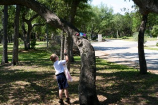 2012-04-08-18-Egg Hunt.jpg